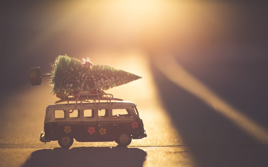Your Guide to Local Christmas Tree Lots & Pictures with Santa