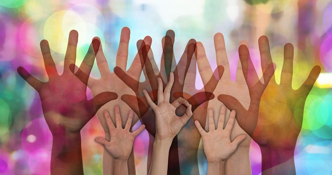 What to Look for in Donating to Charities this Season