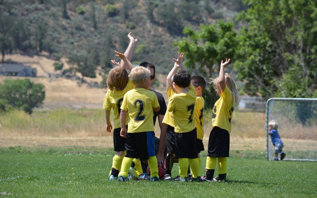StonyFIELDS Initiative Brings You The TeWinkle Park Field Day