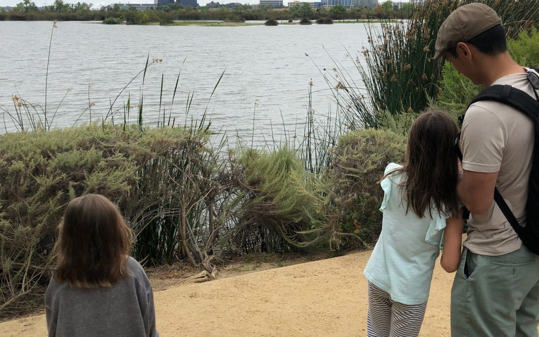 Bird Watching Is More Fun Than It Sounds