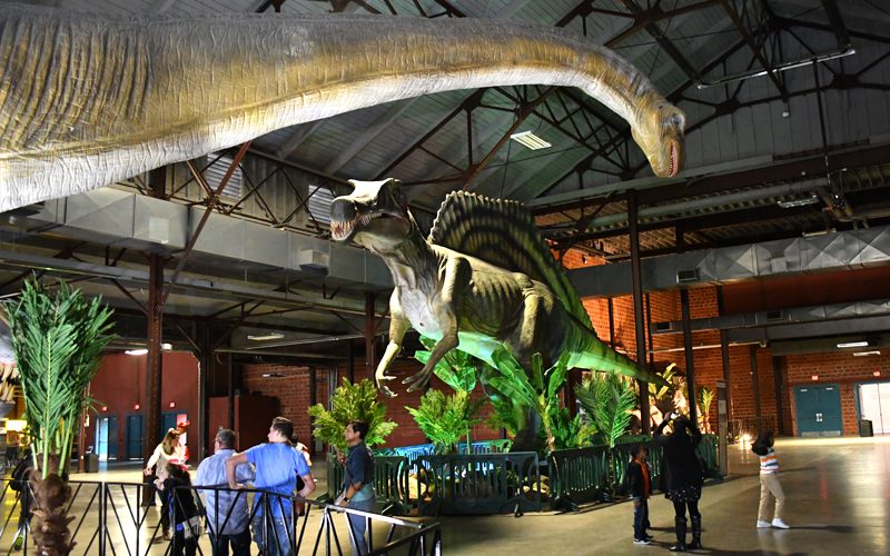 Dinosaurs Spotted in Costa Mesa