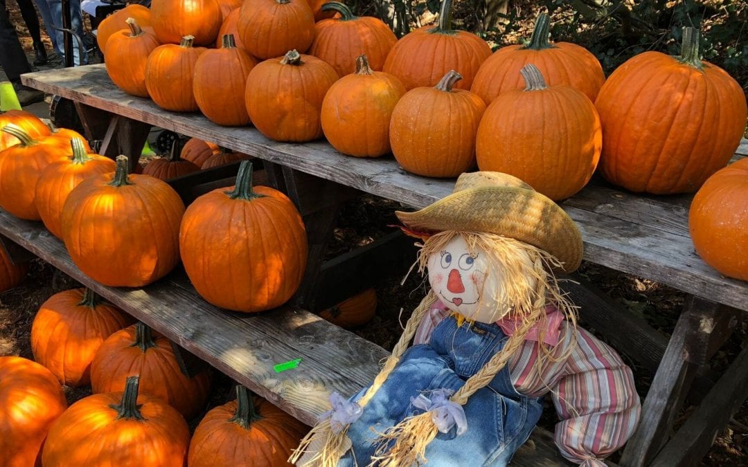 Fall into October at the ENC