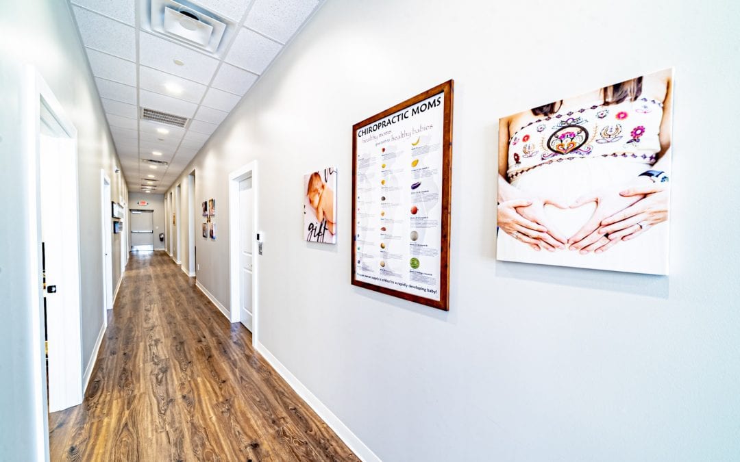 Small Business Saturday: Experience Life Chiropractic