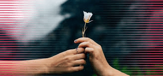 Charities That Help Families: Giving Back This Holiday Season
