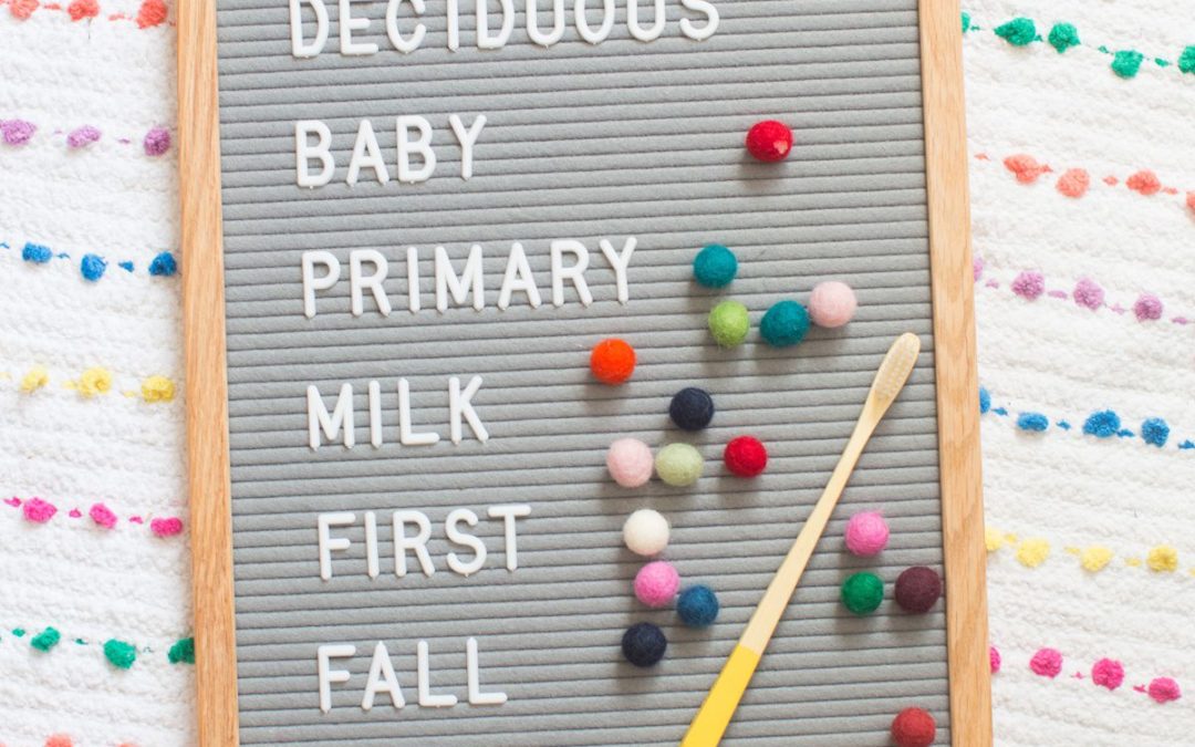 Let’s Talk Baby Teeth vs. Adult Teeth