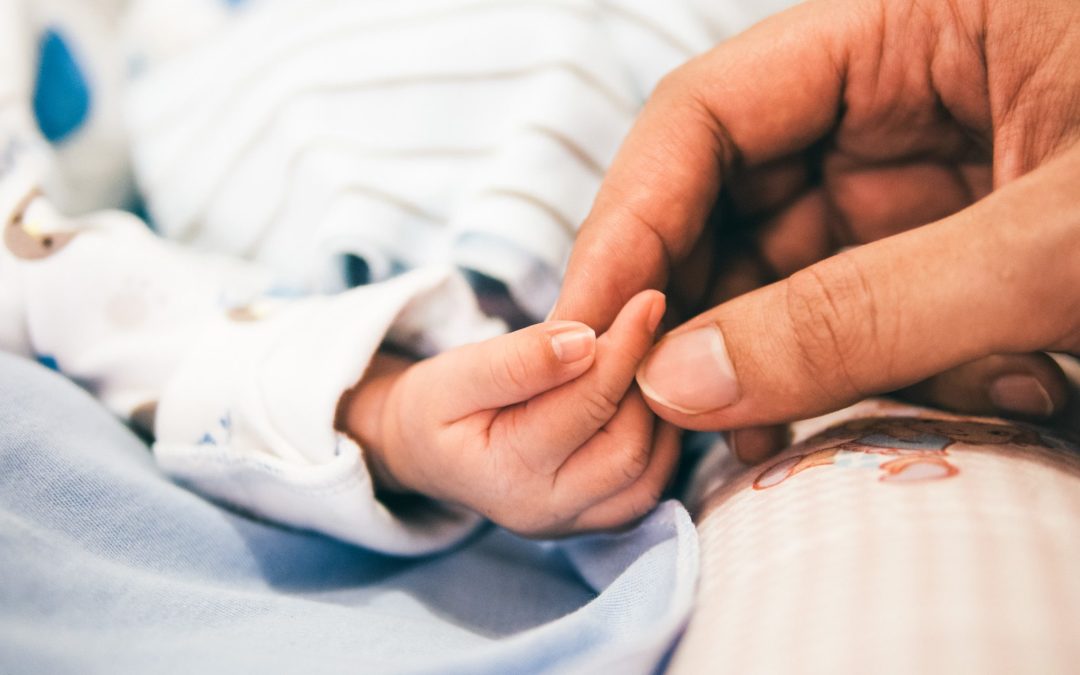 Charities That Help Families: Giving Back This Holiday Season