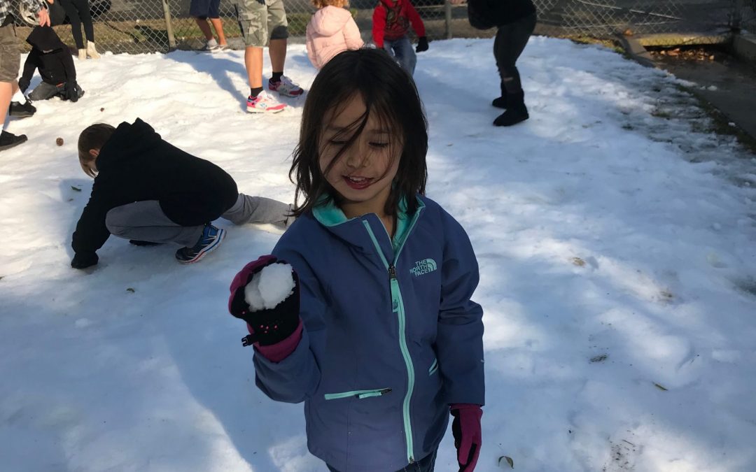 SNOW In the Forecast