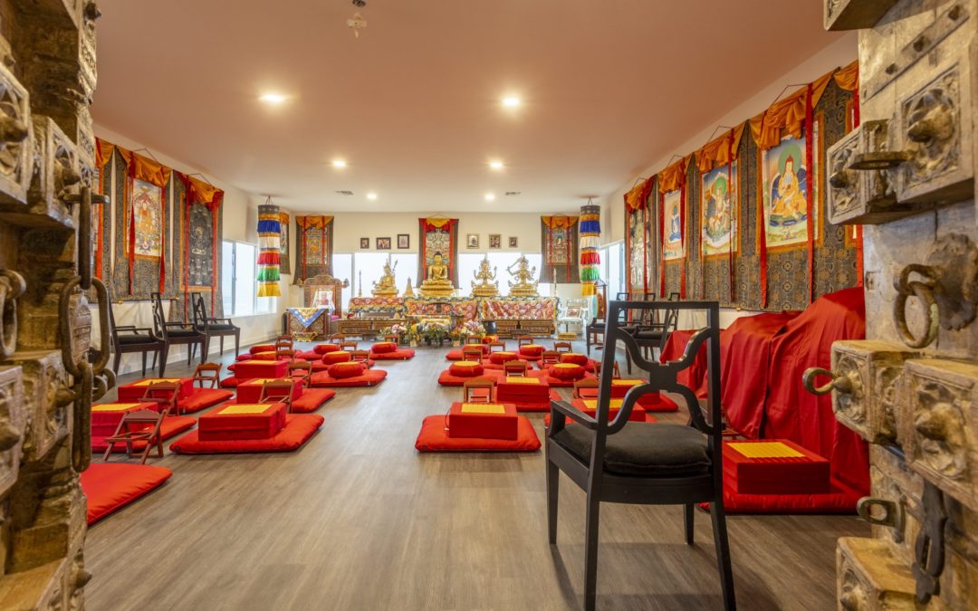 Where to unwind this Summer? We have the perfect place