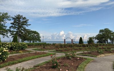 Social Distancing at Lakeview Park