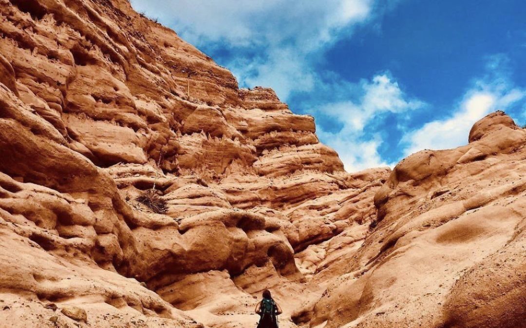 Irvine MOMS: Favorite HIKES WITH KIDS