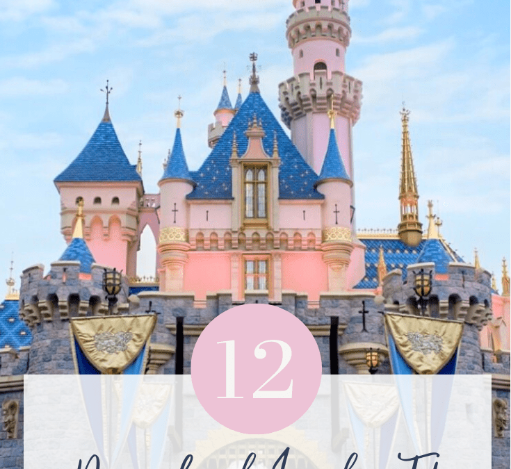 Disneyland Insider Tips