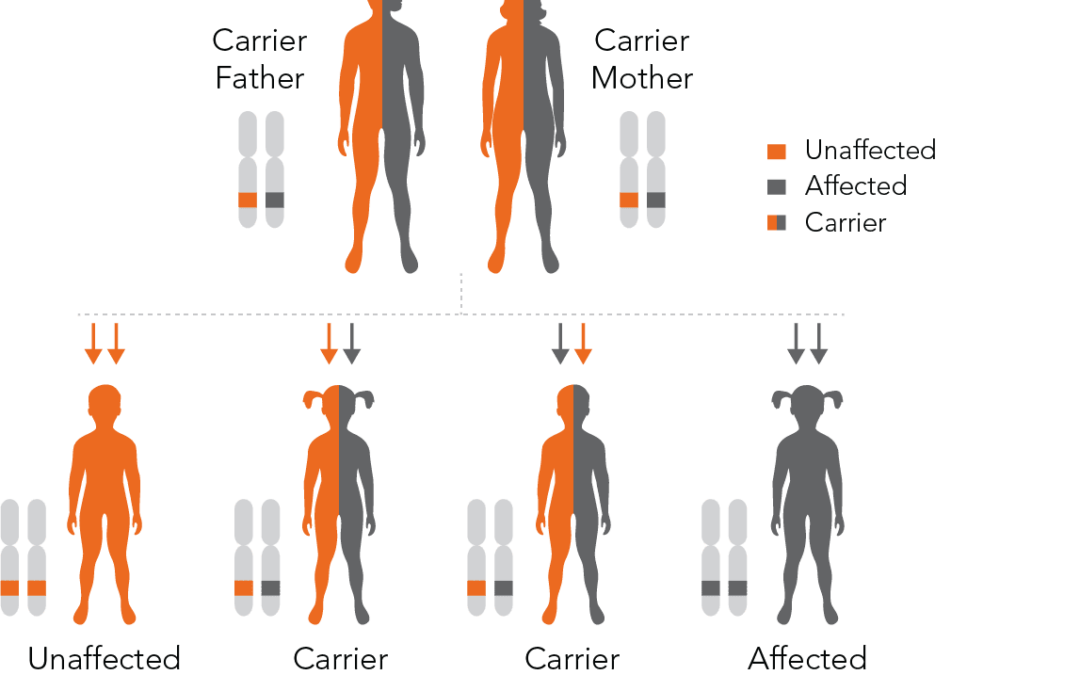 Hidden Genes: Why people planning for pregnancy may want to consider carrier testing