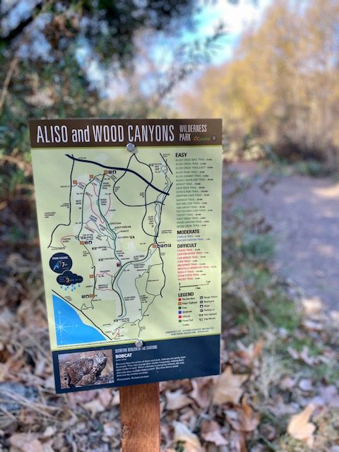 Dripping Caves Hiking Trail with Kids in Aliso Viejo