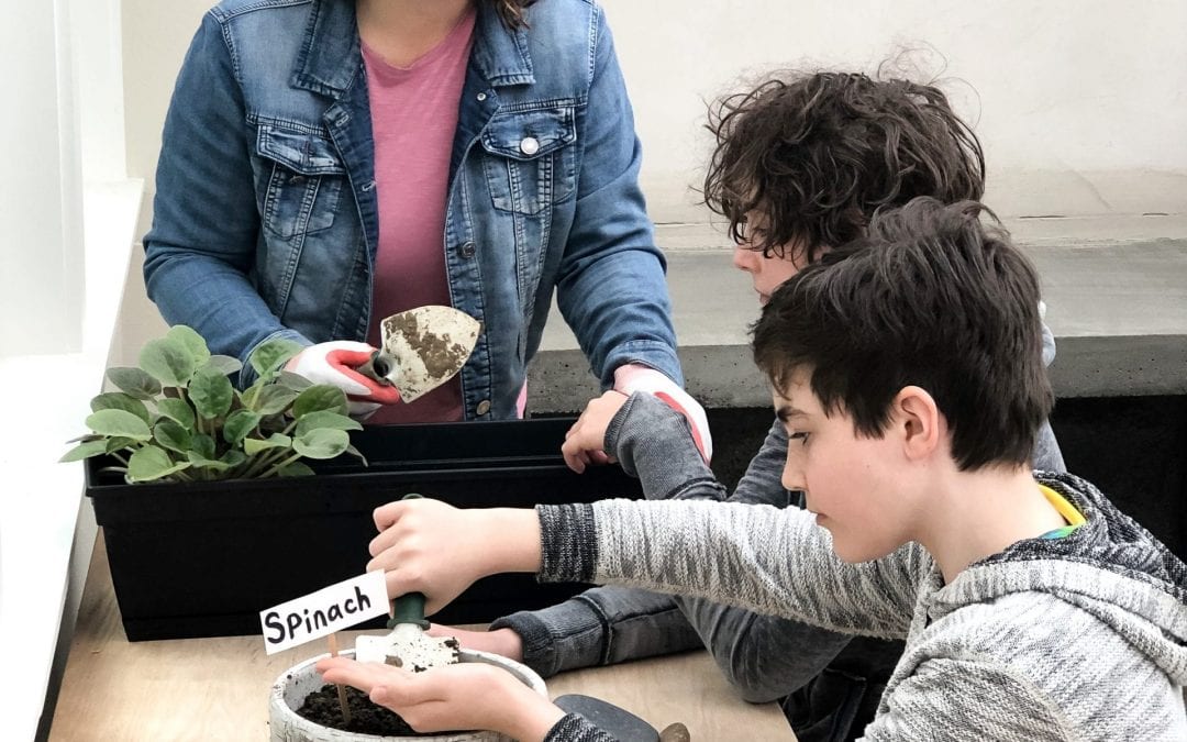 Gardening with Kids – Fun Ideas for All Ages