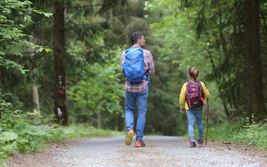 Bull Gully Hike great for Families!