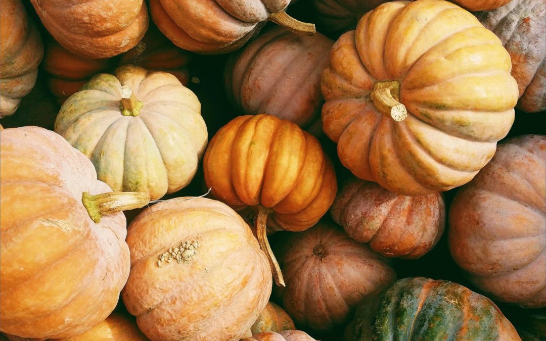 Weekend Roundup 10/8-10/10