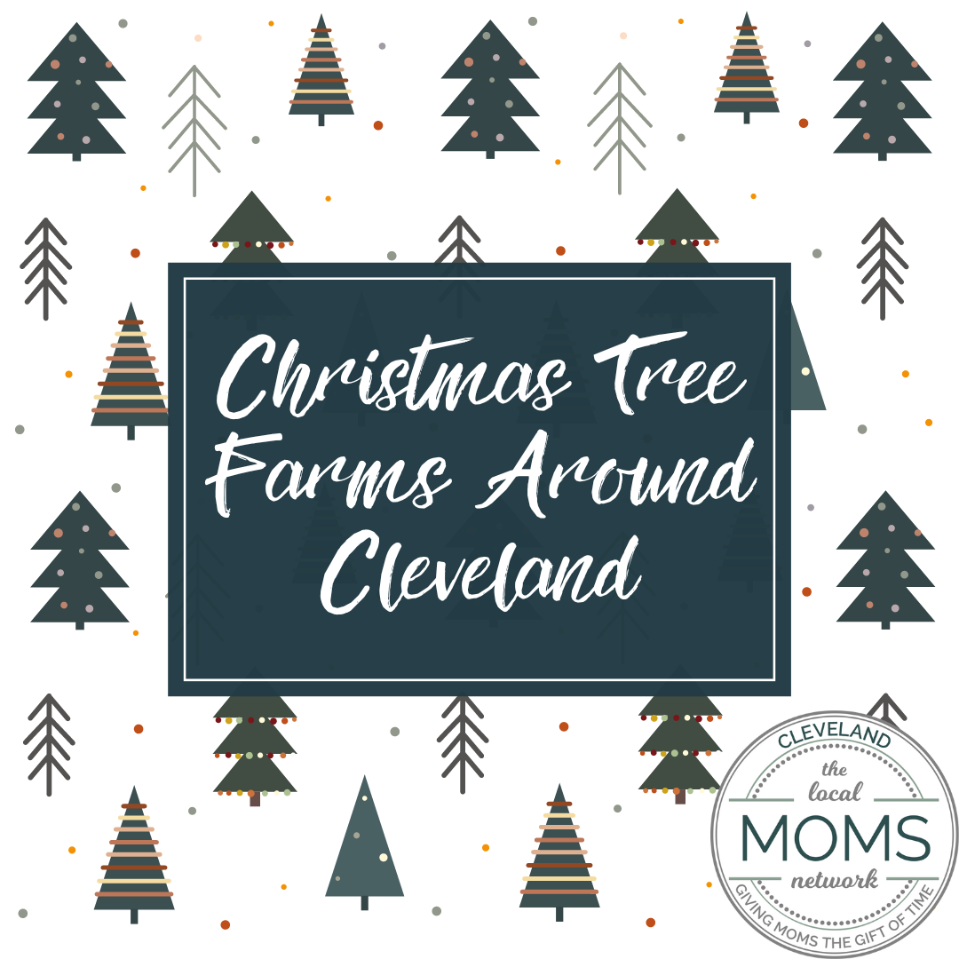Christmas Tree Farms Around Cleveland The Cleveland Moms