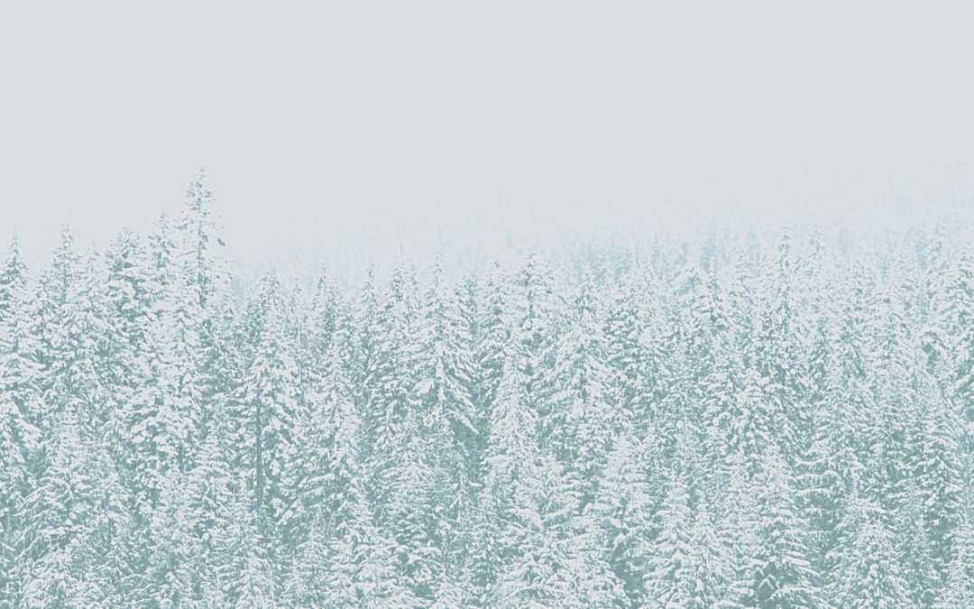 Winter Photographer Roundup 2021