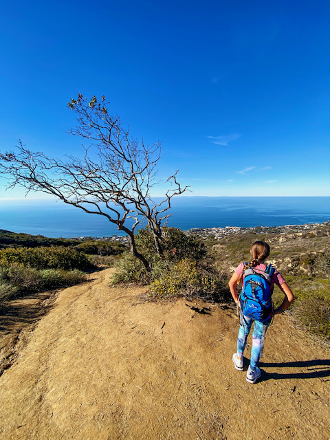 Badlands Hike in Laguna Niguel - South OC Moms