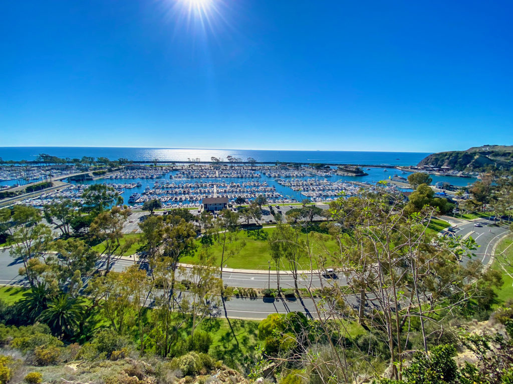 Dana Point Summer Bazaar, Events & Activities