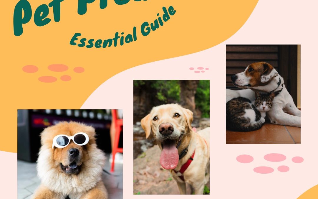 Fave Dog Items