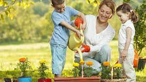 Gardening Products You Need