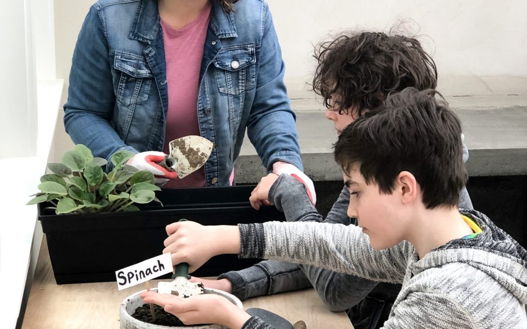 Gardening with Kids — Fun Ideas for All Ages!