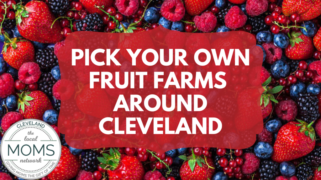 Pick Your Own Fruit Farms The Cleveland Moms
