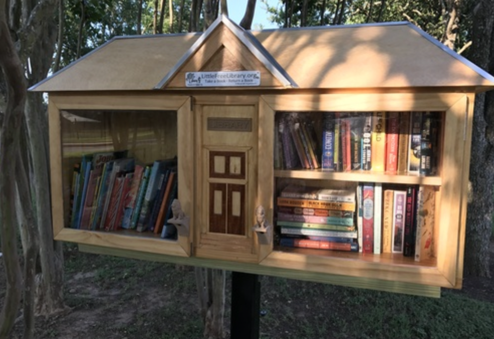 Free Little Libraries