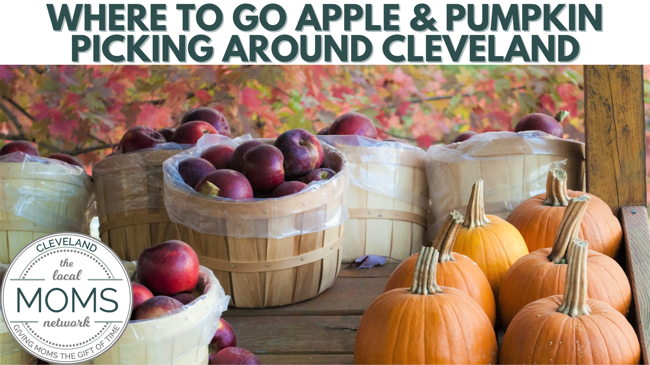 Where To Go Apple & Pumpkin Picking Around Cleveland - The 
