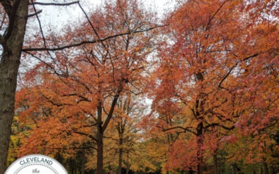 Fall Foliage Hikes Around Cleveland