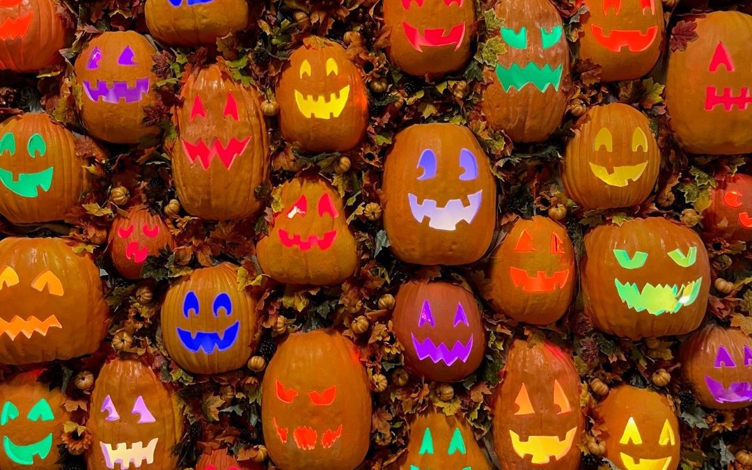 Discovery Cube: 2022 Pumpkin Palooza