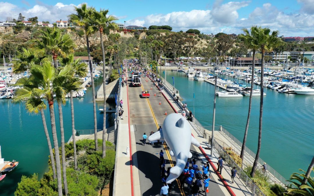52nd Annual Dana Point Festival of Whales