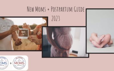 New Moms + Postpartum Guide
