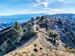 Mount Baldy via Devil’s Backbone Trail